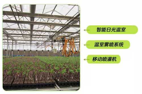 指尖上的绿色革命:现代苗圃管理技术让每一株苗木都拥有“智慧管家” 指尖上的绿色革命:现代苗圃管理技术让每一株苗木都拥有“智慧管家”