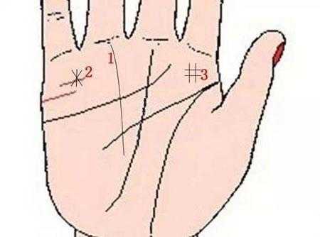 掌纹AI：手掌里的智慧密码