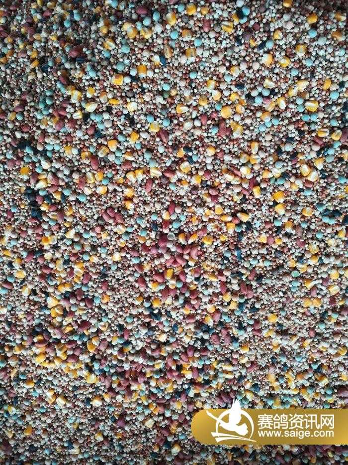 智能时代，红土AI如何为创新者铺就资本之路